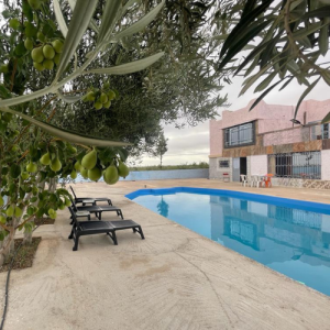 Oasis of Tranquility Villa